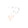 Phantom V Logo
